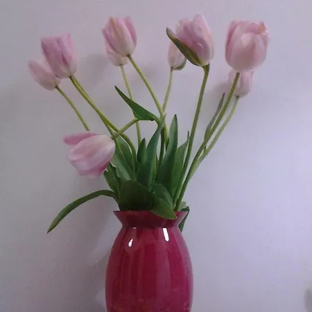 住宿加早餐酒店 Simotta 3*